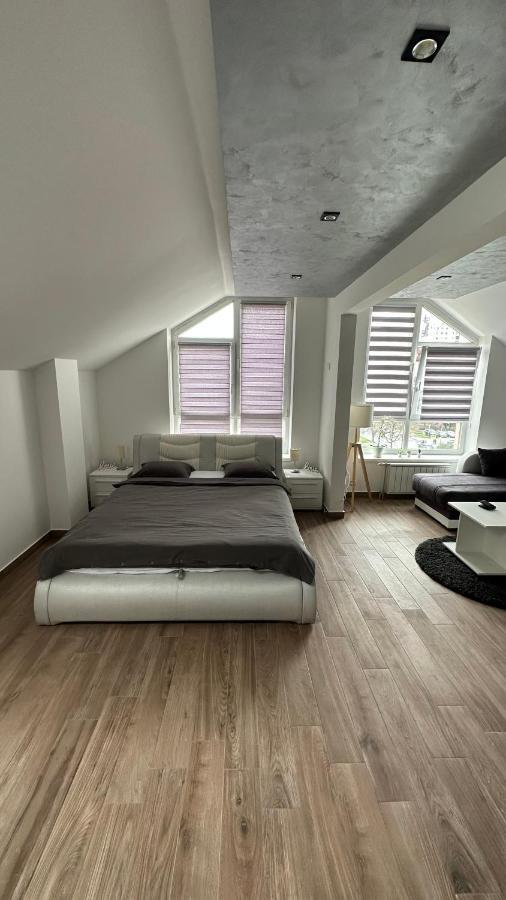 Seti Gorgeous Apartments With Jacuzzi 베오그라드 외부 사진