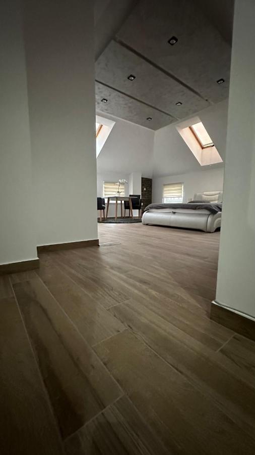 Seti Gorgeous Apartments With Jacuzzi 베오그라드 외부 사진